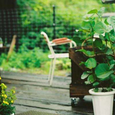 开云集团下载手机版