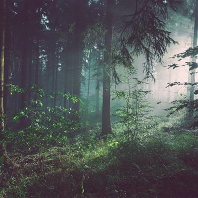 华体会登录下载手机版